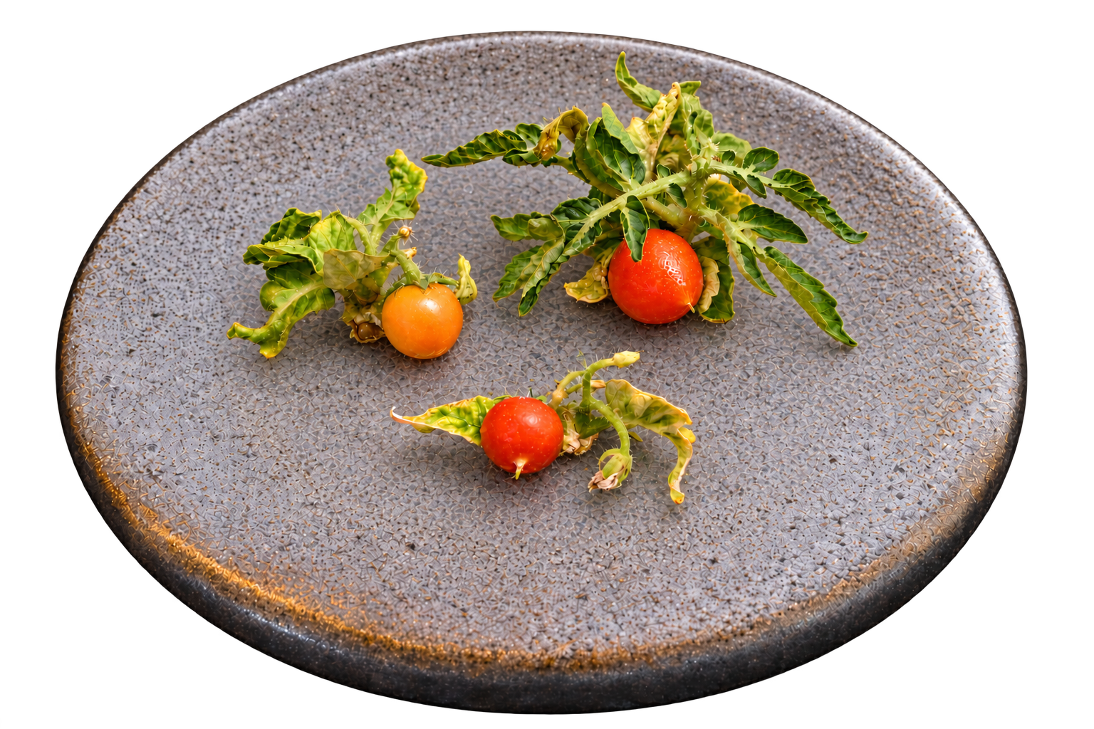 Editorial composition of three tomatoes and compact plant tissue directly on a stone plate